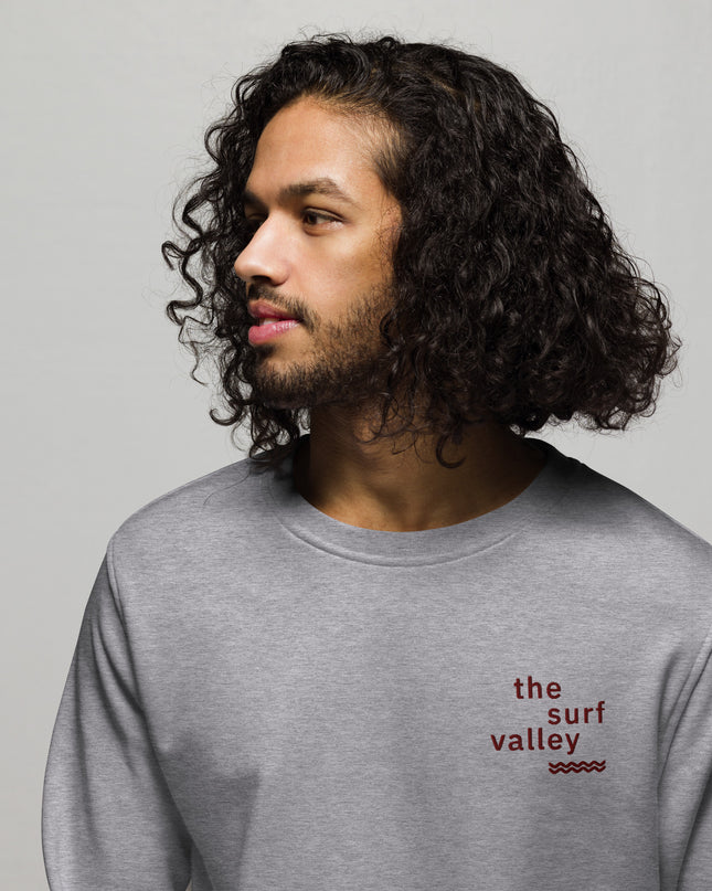 Sudadera Gris Orgánica TSV