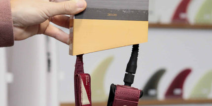 Collection image for: Leash