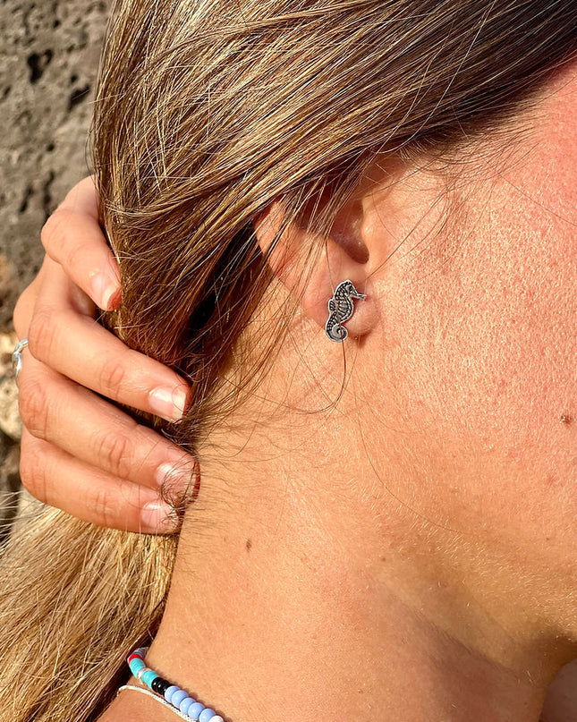 CABALLITO pendientes