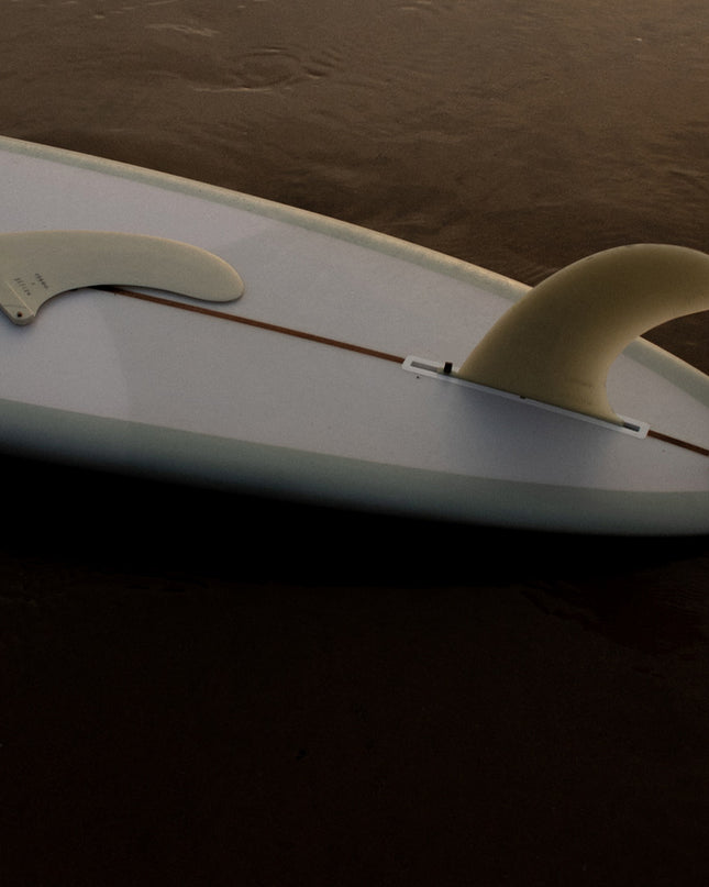 Cokoif | Single Fin